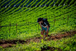 BIB: 
                            <button type="button" onclick="openModal(19161285)" class="btn btn-primary btn-sm float-right btn-popup" data-toggle="modal" data-target=".modal-high-quality">
                        <i class="fas fa-shopping-cart"></i> Add to Cart
                    </button>
                                            <button type="button" onclick="isThisMe(19161285, true)" class="btn btn-success btn-sm float-right btn-popup btn-isme hidden" data-toggle="tooltip" data-placement="bottom" title="นี่คือรูปของคุณใช่ไหม คลิกที่นี่เพื่อเอาเข้าอัลบั้ม">
                        <i class="fas fa-plus"></i> Add to album
                    </button>
                    <button type="button" onclick="isThisMe(19161285, false)" class="btn btn-warning btn-sm float-right btn-popup btn-isnotme hidden">
                        <i class="fas fa-ban"></i> Remove from album
                    </button>